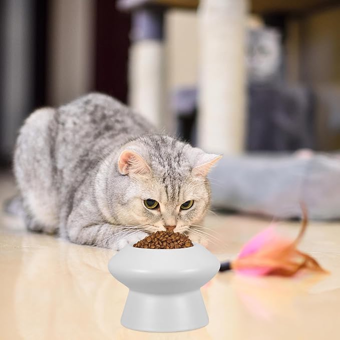 COLLBATH Ceramic Pet Drinking Bowl Elevated High Feet Dog Feeding Bowl Flat Face Cat Water Feeder Raised Design for Neck Support Random Color