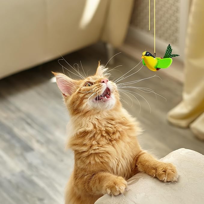 Andiker Chirping Bird Cat Toy, Simulated Bird Shape Catnip Cat Toy for Cats with Elastic Hanging Rope Lightweight Interactive Cat Toy for Indoor Cats Kittens Chewing Biting Fetching (Green)