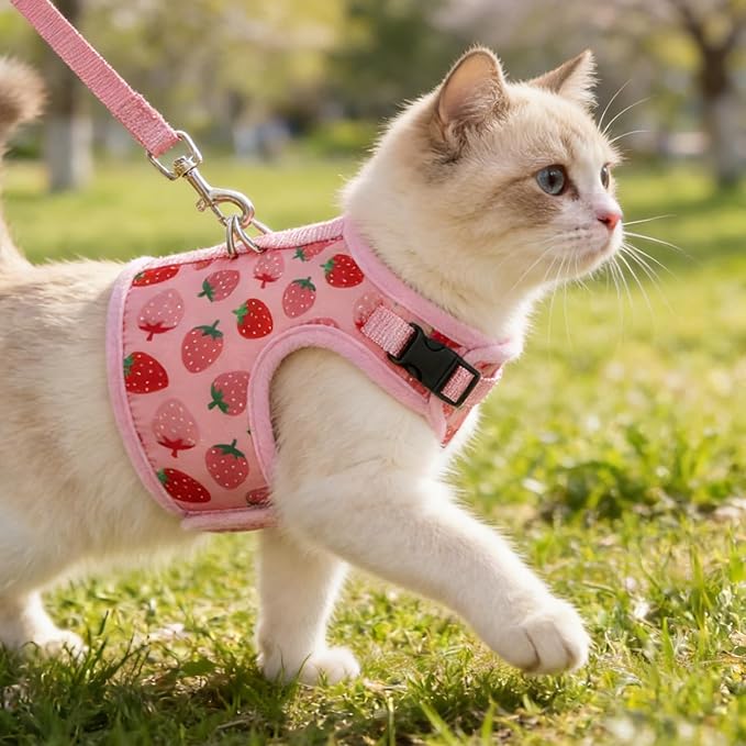 BINGPET Cat Harness and Leash Set Escape Proof, Fashionable Adjustable Mesh Harness for Walking, Soft Cute Breathable Easy Control Cat Vest for Kitten Puppy Small Medium Large Cats