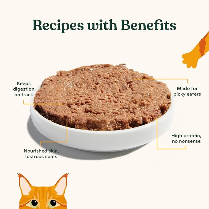 Made by Nacho Premium Wet Cat Food Grain-Free Pate Cans (Chicken and Herring - 24 Pack, 5.5 Ounce)