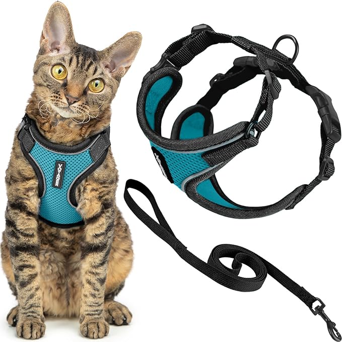 Voyager Escape-Proof Step-in Lock Cat Harness & 5ft Neoprene-Handle Leash Set All-Weather Mesh with Reflective Stitching for Small to Large Cats by Best Pet Supplies, Black Trim-Turquoise (327), S
