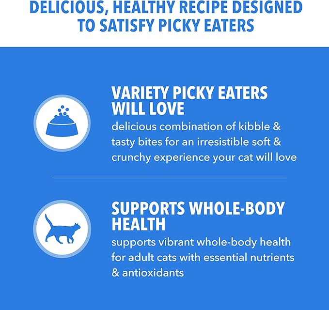 IAMS Healthy Enjoyment Dry Cat Food Chicken & Salmon Recipe, Cat Food Dry Recipe, 6 lb. Bag