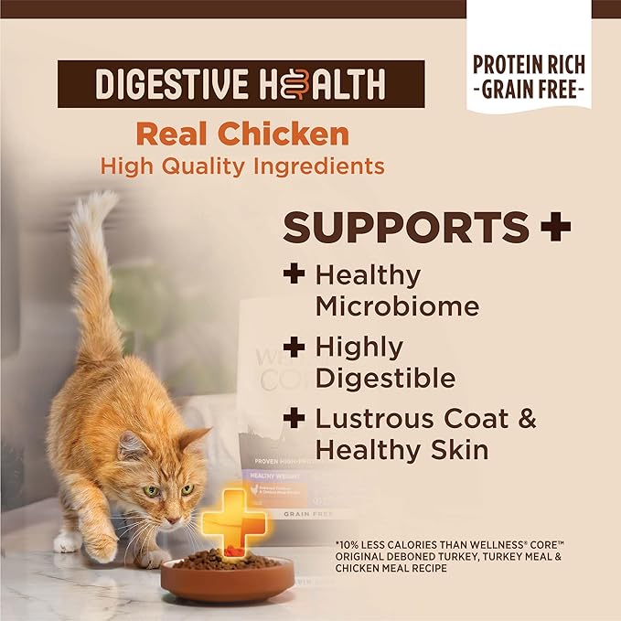 Wellness CORE+ Adult Dry Cat Food, Natural, Wholesome Grains Kibble, Digestive Health Chicken and Rice Recipe, 11 lb Bag