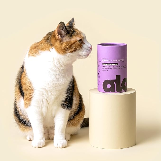 Aloof Premium Catnip for Cats with Silvervine - Strong Dried Catnip Leaves, Loose Leaf Catnip Blend, Natural Cat Attractant and Treat, .6oz