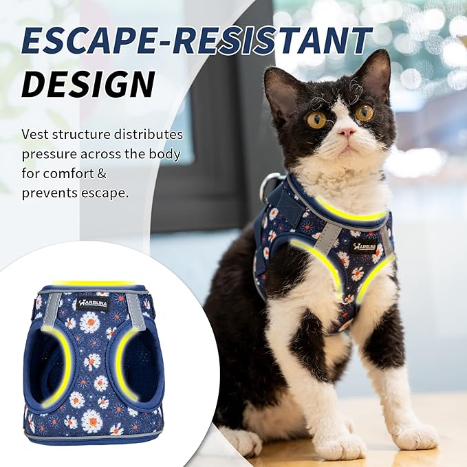 Arblina Soft Mesh Cat Harness and Leash Set for Walking,Escape Proof No Choke Step in Kitten Vest Harness,Reflective Ajustable Puppy Vest for Traveling