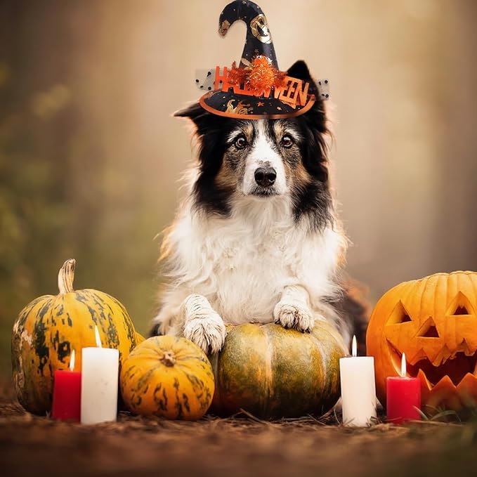 Halloween Adjustable Witch Pet Hat for Cats Dogs Pumpkin Pattern Pet Hat for Small and Medium Cats Dogs Halloween Funny Head Accessories
