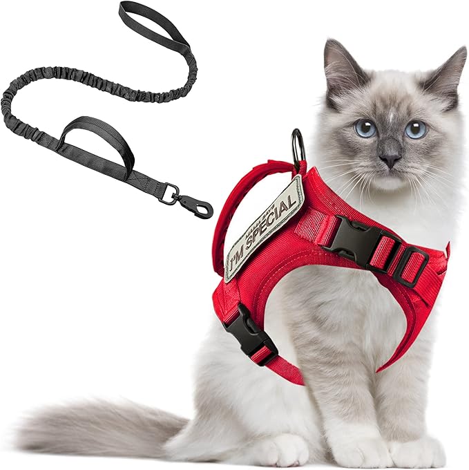 AIWAI Tactical Cat Harness for Walking Escape Proof, Adjustable Pet Vest Harness with Control Handle for Large Cat Small Dog, Soft Mesh, Gift with Patch