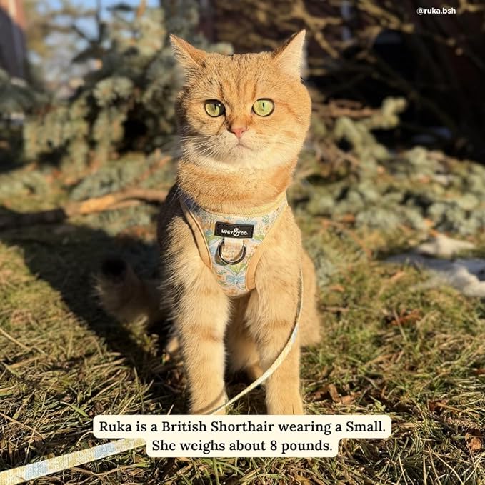 Lucy & Co. Sunshine and Daffodils Step-in Cat Harness and Leash Set Bundle, Breathable & Adjustable Harness for Cats, Kittens & Small Dogs, Lightweight & Secure and Dual Leash Clips – Large
