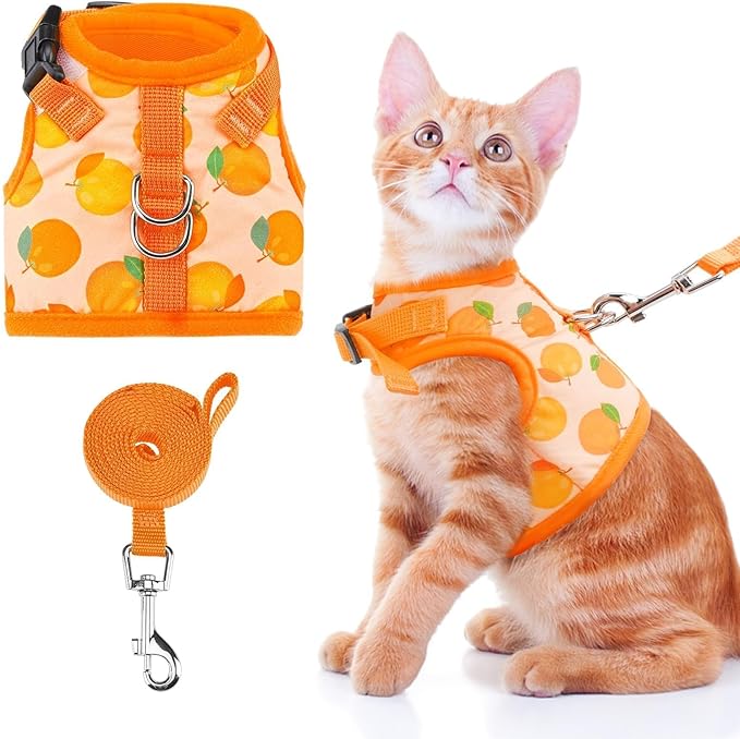 BINGPET Cat Harness with Leash Escape Proof - Fashionable Mesh Cat Dog Walking Harness Leads, Adjustable for Kitties Puppies Small Animals,Orange,S