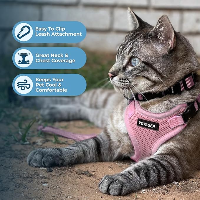 Voyager Escape-Proof Step-in Lock Cat Harness & 5ft Neoprene-Handle Leash Set All-Weather Mesh with Reflective Stitching for Small to Large Cats by Best Pet Supplies, Pink, S