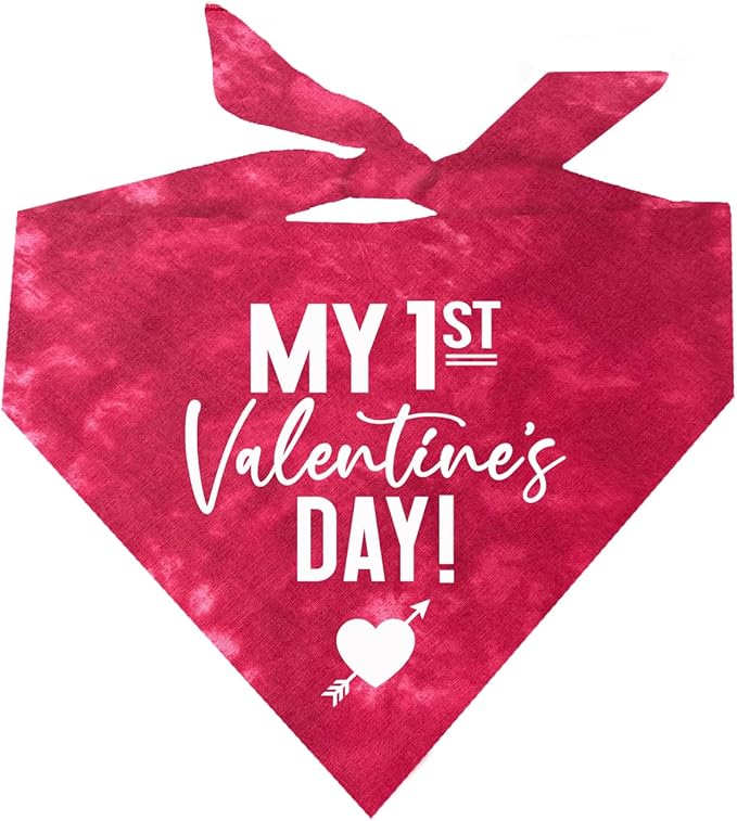 My First Valentine's Day Dog Bandana | 100% Cotton Tie Dye Triangle | Made in USA | Valentine's Day | Love & Hearts | One Size | Red Scrunch (158)