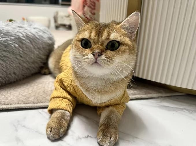 Kitten Clothes, Dog Cat Sweaters Pet Puppy Knitwear Costume Fall Winter Coat for Small Medium Cats Dog Girl Boy Fit 2.2-23lb