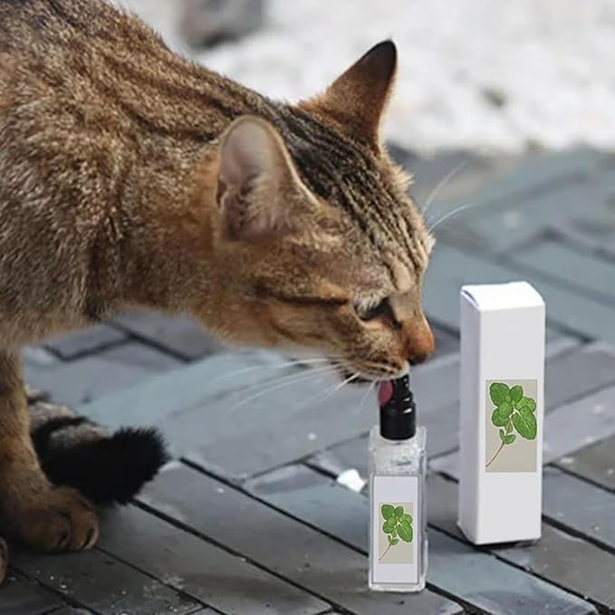 Herbal Cat Joy, Herbal Cat Joy Spray, Celery Pets Catnip Spray, Catnip Spray for Indoor Cats, Cat Calming Spray, Anti Scratch Cat Spray, Cat Training Spray with Catnip, Cat Nip Spray (2PCS)