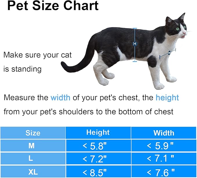 CEESC Extra Large Cat Door (Outer Size 11.6" x 9.8"), Rotary 4 Way Locking Cat Door for Interior Exterior Doors, Weatherproof Pet Door for Cat & Doggie with Circumference < 24.8",Upgraded Version
