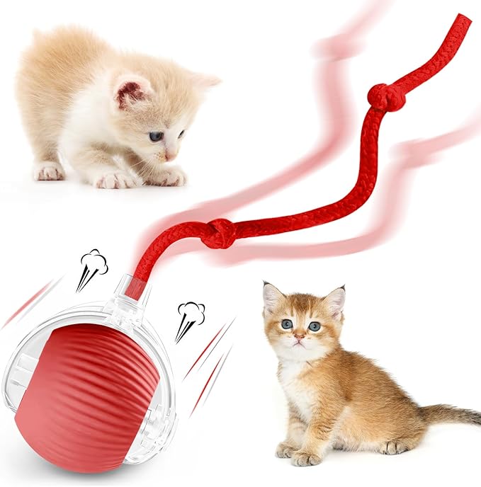 Interactive Cat Ball Toys for Indoor Cats, Peppy Pet Ball, 2025 Upgraded Automatic Kitten Toy for Bored Indoor Adult Cat, 360°Smart Rolling Toy (Red)