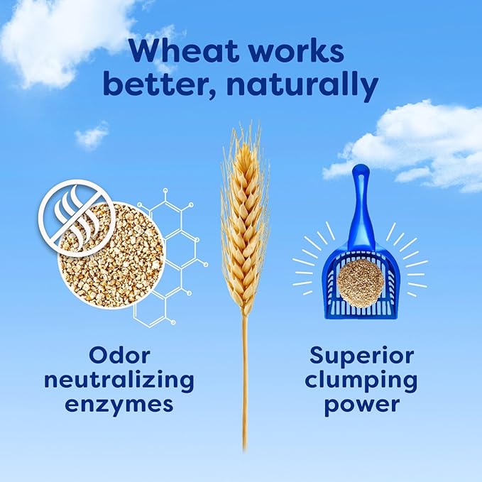 sWheat Scoop Natural Wheat Cat Litter, Original, Fast Clumping with Odor Neutralizing Enzymes, 28 Pound Bag