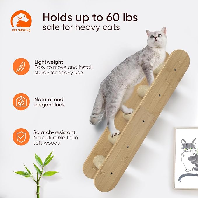 Cat Wall Shelves Furniture for Climbing - Cat House Wall Mounted - Indoor Wooden Floating Furniture - Different Models Including Shelves, Perches, Hammock, Bed, Bridges, Walkways