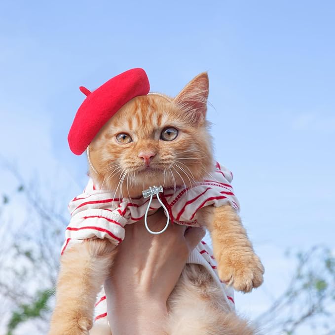 Dog Beret for Small Dogs Cat Doll, Colorful Wool Mini Cap Creative Accessories Costume French Mushroom Artist Fedora Hat Beanies Solid Color Pet Headwear Christmas Hair Accessory Photo Props (Red)