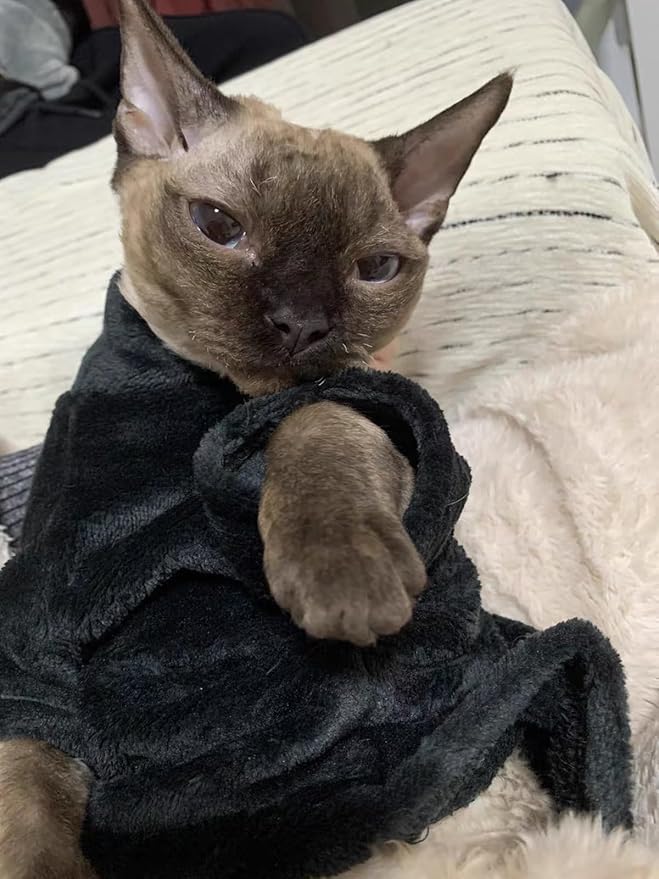 Sphynx Cat Clothes Winter Turtleneck Soft Coral Fleece Cat Clothes Thicken Warm Pajamas Coat for Hairless Cats and Small Cat Apparel with Sleeves (Black, M（3.8-6lbs）)