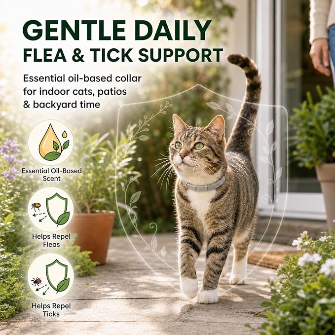 Flea Tick Prevention Collars for Cats: Essential Oil-Based Collar for 4 Month Support - Natural Fleas Ticks Breakaway Collar for Large & Small Cat, Outdoor Fleas Ticks Control for Kittens