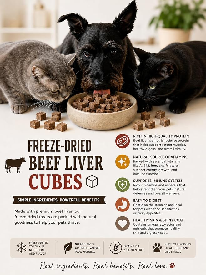 Freeze Dried Beef Liver Raw Nutrition Dog & Cat Treats - Healthy Snacks, Food Topper. Weight Control, Training Bites, High Protein (2 Ounce, Beef Liver)