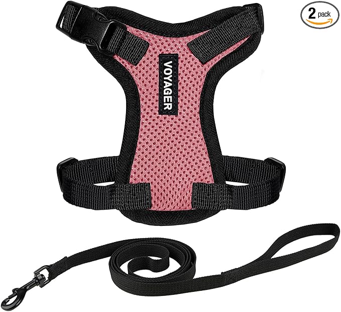 Voyager Escape-Proof Step-in Lock Cat Harness & 5ft Neoprene-Handle Leash Set All-Weather Mesh with Reflective Stitching for Small to Large Cats by Best Pet Supplies, Pink/Black Trim, XXS