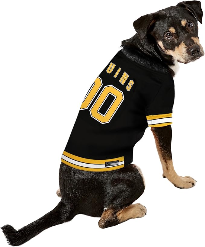 Pets First NHL Boston Bruins Jersey for Dogs & Cats, X-Small. - Let Your Pet Be A Real NHL Fan!