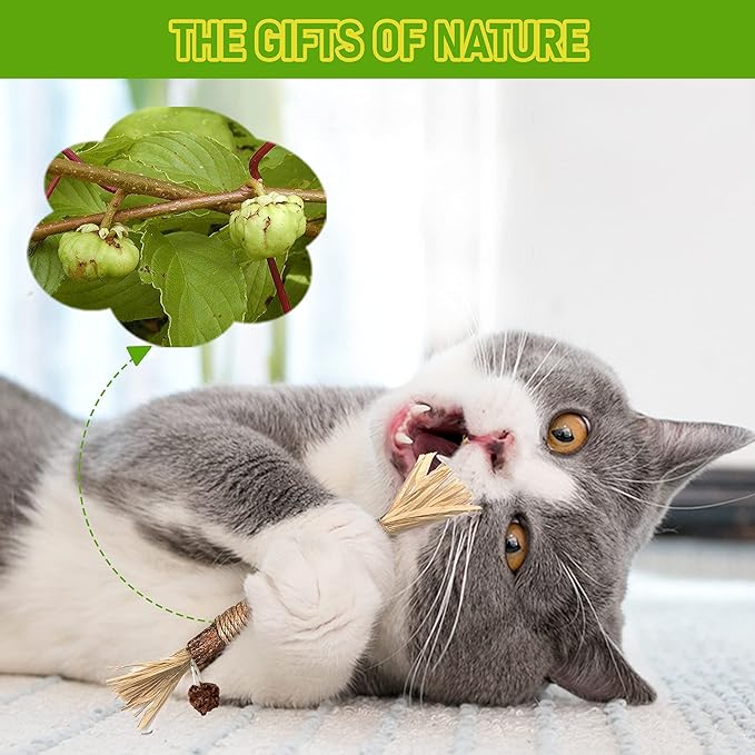 Silvervine Sticks Cat Chew Toys for Indoor Cats Dental Care Teeth Cleaning, Natural Kitten & Cat Teething Toys for Health, Cat Chew Stick Treat Edible Suitable for All Breeds of Aggressive Chewers Cat