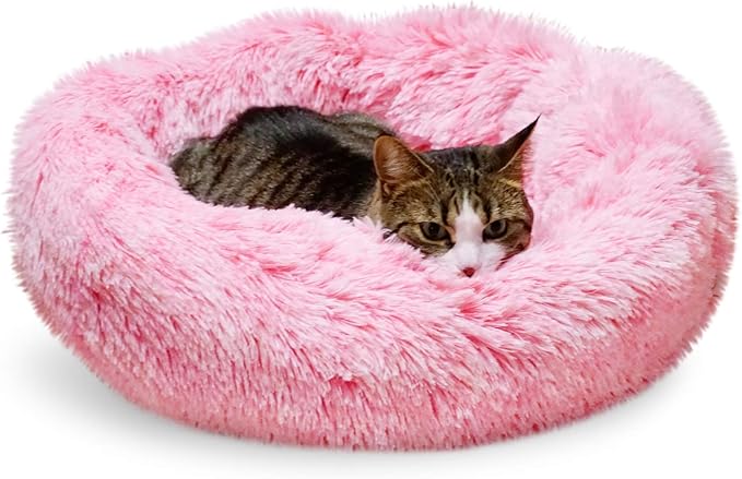 Whiskers & Friends Cat Beds for Indoor Cats, Fluffy Calming Donut Cat Bed, Small Dog Bed Washable - Orthopedic Soft Plush Pet Beds Sized for Kitten to Large Cats & Puppy to Small Dogs - Gradient Pink