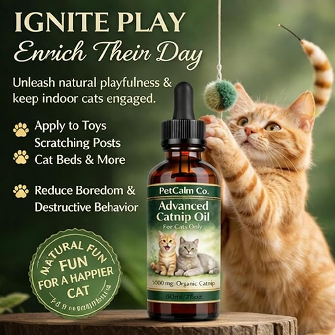 PetCalm Co. Catnip Oil — Daily Wellness for Cats (60 Ml / 2 Fl Oz)