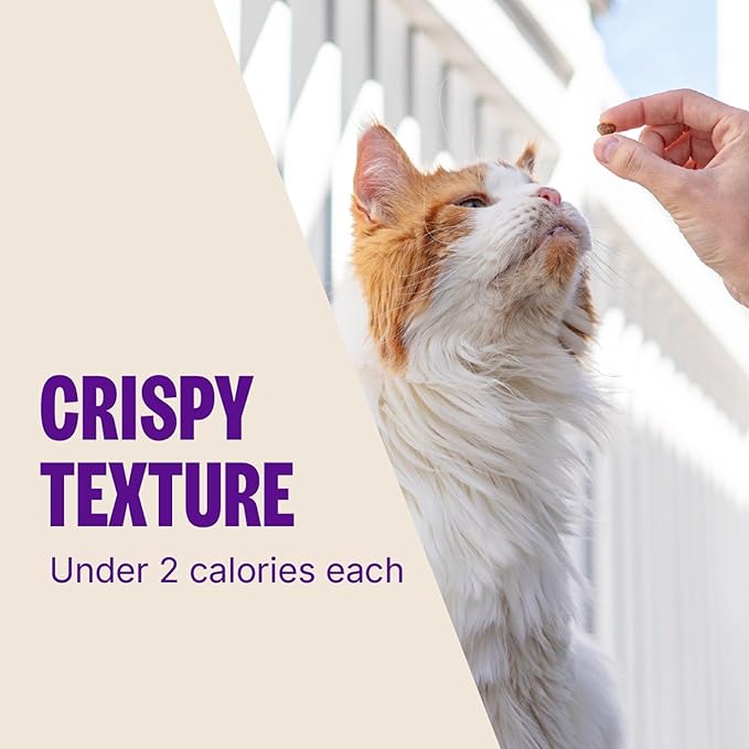 Wellness Kittles Crunchy Cat Treats, All Lifestages, Kitten to Senior, Natural, Grain Free, Salmon and Cranberry Flavor, 6 oz Bag