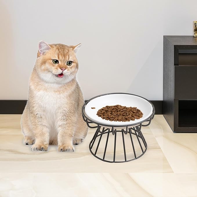 Raised Cat Food Bowl Porcelain Bowl Metal Stand Minimalist Multipurpose Easily Food and Water Bowl Detachable for Dry Wet Food, Style G