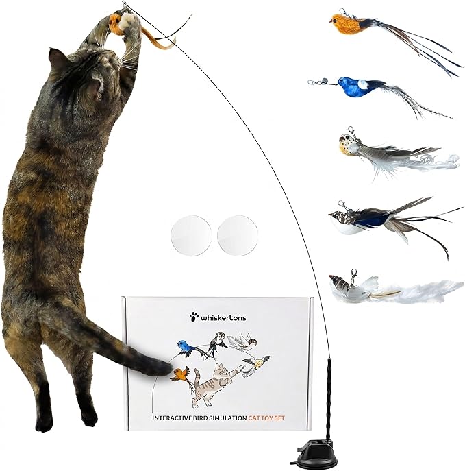 Whiskertons Interactive Bird Simulation Cat Toy Set, Interactive Cat Toys for Indoor Cats, Cat Feather Toy, Self-Holding Suction Base, 5 Replacement Birds, Feathers & Bells, Realistic Bird Impression