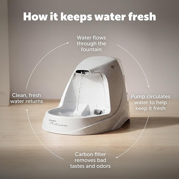 PetSafe Drinkwell Platinum Cat Water Fountain - Pet Fountain for All Pet Sizes, Encourages More Drinking, Includes Extra 3-Pack Replacement Carbon Filters, Indoor Use, Grey (168 oz/5L)