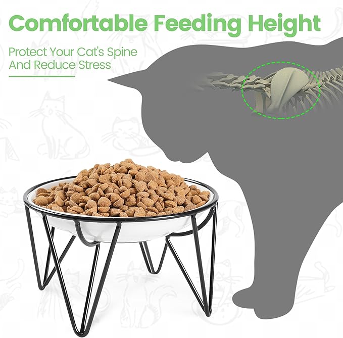 Ceramic Elevated Cat Bowls - Whisker Friendly, Anti-Vomiting Cat Food Plate, Stylish, Safe and Hygienic (Fishboon, 1 Pack)