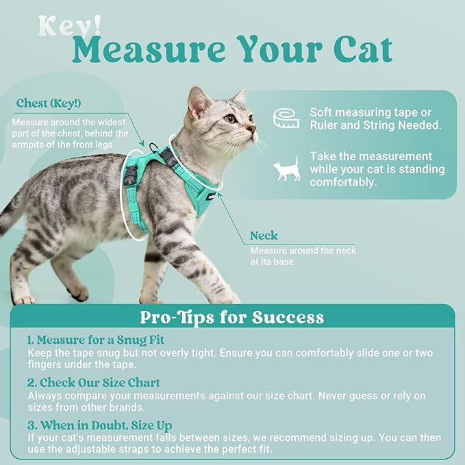 rabbitgoo Cat Harness and Leash, Escape Proof Vest with 3 Adjustable Buckles, Soft Comfortable Kitten Harness, Easy to Wear, Reflective for Safe Outdoor Walking, Small, Green