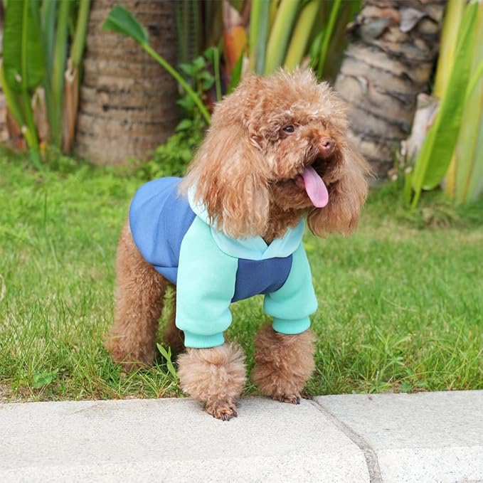 Fashionable Dog Hoodie – Soft & Warm Dog Sweater with Leash Hole,Pet Hooded Sweatshirt for Cats and Dogs with Broad Chests (e.g., French Bulldogs, Pitbulls) (Blue, X-Small)
