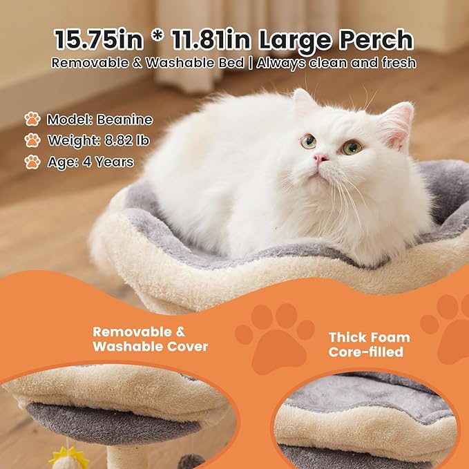Gardner Pet 20" Cat Tree, Solid Wood Small Cat Tree, Compact Cat Tower Perch for Kittens (Grey, Circle)