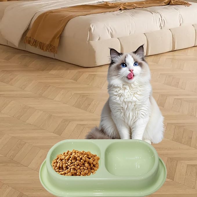 Cat Water and Food Bowl Feeder Dual Dish Nonslip Easy Clean Indoor Outdoor Travel Kitten Feeding Dispenser- Light Green