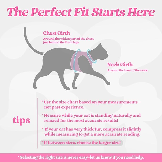 rabbitgoo Cat Harness and Leash Set for Walking Escape Proof, Adjustable Soft Kittens Vest with Reflective Strip for Cats, Comfortable Outdoor Vest, Black & Pink, M