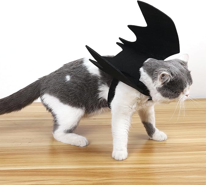 Cat Bat Wings Cat Bat Costume Cats Halloween Costumes Cute Bats Wings for Cats Kitten Halloween Costume Kitten Bats Wing Pet Halloweens Dress Up Accessories,Black M
