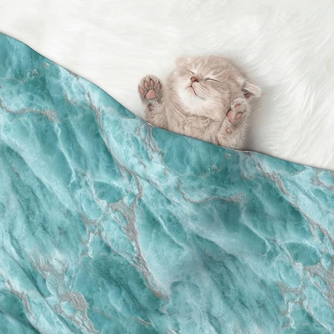 Cat Dog Blanket Turquoise Marble Smooth Polished Stone Texture Ultra Soft Warming Mat for Indoor Pet Beds Furniture 27.6 X 19.7inch
