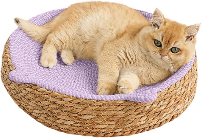 Cat Lounge Disc Bed Circular Sisal Fiber Ventilated Cooling Scratch Board Pad Rest Sleep Toy Tunnel Jump Fitness Paw Care Relaxation Ergonomic Nonslip FurnitureSafe Premium
