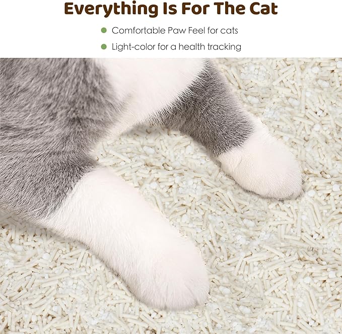 EZSKUUP Non-Stick Bottom Tofu Cassava Cat Litter, 2Pack Ultra Clumping Low Tracking Kitty Litter, Natural Biodegradable Litter, Plant Odor Control, Low Dust Easy to Scoop,18Lb