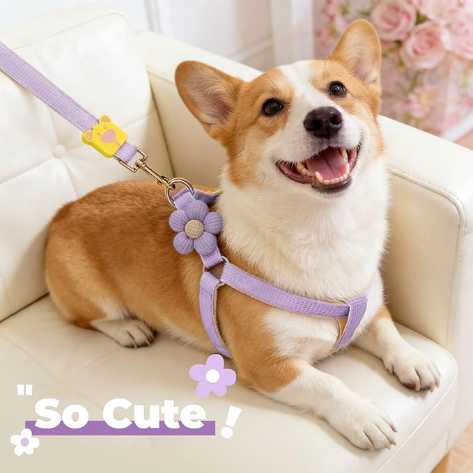 PETCARE Cute Flower Dog Harness and Bowtie Leash Set Easy Walk Puppy Dog Halter Harness for Small Dogs Girl Step in Dogs Harnesses with Buckle (Purple, Chest Adjustable 11"-17", Rope Width 0.59")