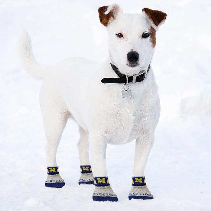 NCAA Michigan Wolverines Anti Slip Dog Socks with Elastic Ribbed Top, Size Medium/Large. Indoor/Outdoor Socks, Best Dog Paw Protector, 2 Pairs of Pet Socks with Your Favorite Collegiate Sports Team