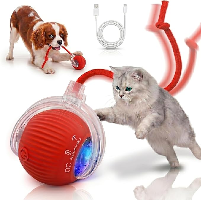 Smart Ball 2.0 - Automatic Cat Toy & Interactive Dog Toys for Small Dogs - Moving Cat Toy Ball for Indoor Cats - Motion Activated, Light Up, USB-C Rechargeable Pet Toy, 2 Speed Modes [Red]