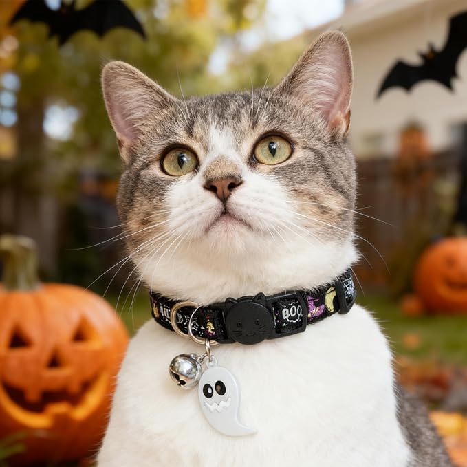 EXPAWLORER Halloween Cat Collar Breakaway - Glow in The Dark Holiday Pet Kitten Collar with Bell and Cute Ghost Pendant, Ideal Gift Adjustable Safety Collars for Cats, 2 Pack