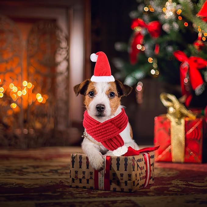 QKURT Pet Christmas Hat and Scarf Set, Dog 3D Santa Hat Adjustable Knitted Scarf Holiday Outfit Costumes for Small Medium Large Dogs Cats Pets