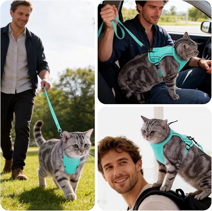 Dotoner Escape Proof Cat Harness and Leash Set Adjustable Soft Mesh Vest for Walking Safe Travel Vet Visit with Reflective Strips for Cats and Kittens(Turquoise-M)